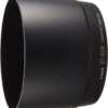 Canon EF 70～300mm F4.5-5.6 DO IS
