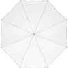 Profoto アンブレラ S (85cm) ホワイト