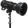 Profoto 純正グリッドセット (3枚組)
