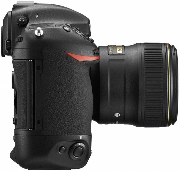 Nikon D5 (XQDタイプ)