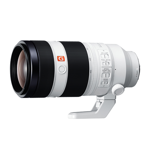 SONY FE 100～400mm F4.5-5.6 GM SEL100400GM