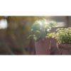 Meyer Optik Gorlitz Lydith 30mm F3.5Ⅱ